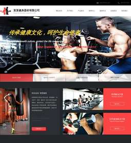 健身器材1019