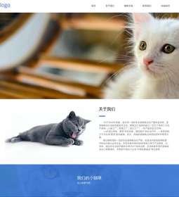 宠物544