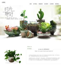 盆栽590