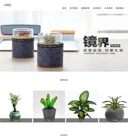植物592