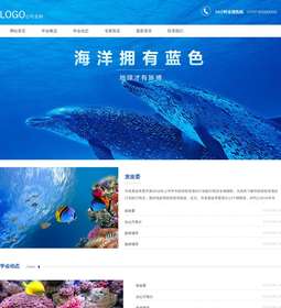 海洋机构893